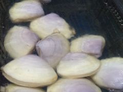 -蚝专家