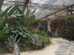 -桉树林A coffee 森林餐厅(三圣乡店)