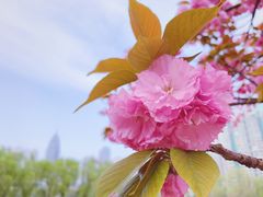 -西北湖绿化广场