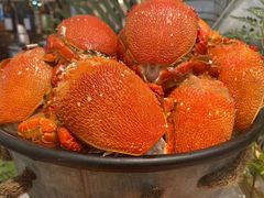 -索菲特酒店 · 云尚天际自助餐厅