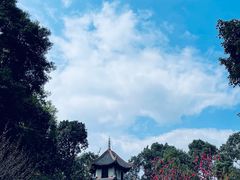 -成都杜甫草堂博物馆