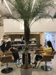 点击看大图 -I+造型烫发染发