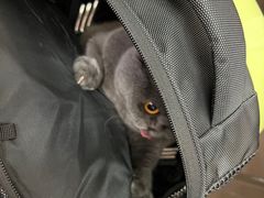 -达爱动物医院·犬猫分区·CT·复杂眼科(远洋山水分院)