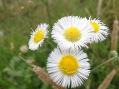 -顺德君豪酒店(佛山容桂渔人码头店)