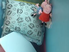 -立邦(武侯区西部专卖店)