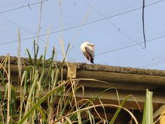 -重庆动物园·东二门售票处