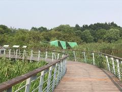 -西湖风景区-江洋畈生态公园