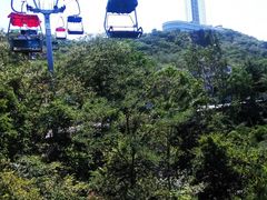-富斯特索道