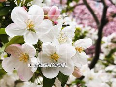 -海棠花溪(元大都城垣遗址公园)