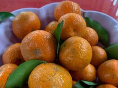 -生态苑农庄(十里画廊遇龙河店)