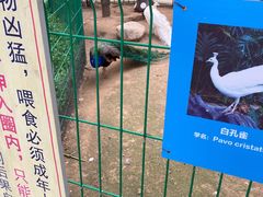 -北京美神宫艺术主题温泉酒店