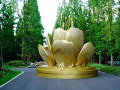 -东平国家森林公园
