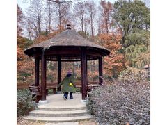 -上海共青森林公园