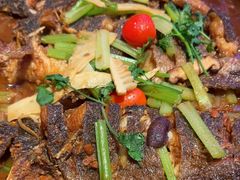 -老板恋上鱼(恒隆广场店)