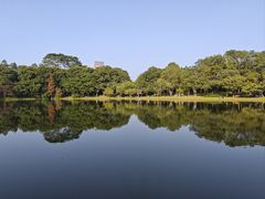 -东莞植物园