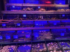 -青蓬蒸汽海鲜·深圳老字号·团建聚会(壹方城店)