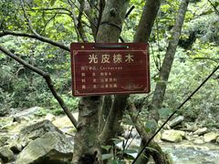 -牛角寨瀑布景区