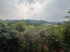 -清远熹乐谷温泉度假酒店