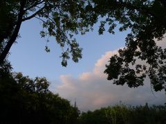 -大兴滨河森林公园