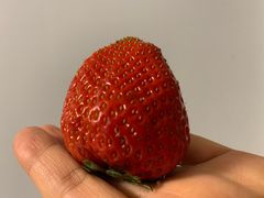 -Olé精品超市(海上世界店)
