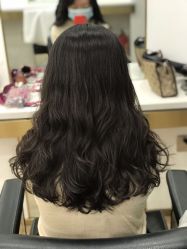 -YESIDO椰岛造型