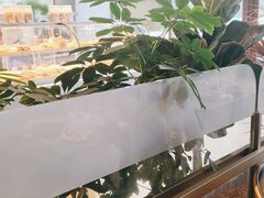 -Bco豆库(星耀天地店)