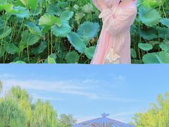 -莲湖公园