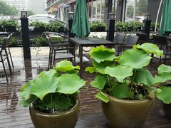 -上下九广州菜馆(锦业路店)