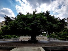 -江滨壹号艺文空间复合餐厅(闽江大道店)
