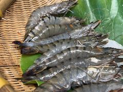 -蓝珊甄选海鲜自助·火锅大排档(近阿那亚店)