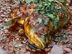 藿香豆瓣鱼-青城甲(青城山店)