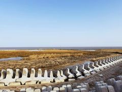 -南汇嘴观海公园