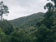 -海南热带雨林国家公园吊罗山景区