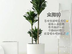 -京东家装(昆明总店)