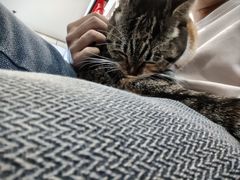 -平行世界·猫咖(首经贸店)