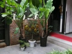 android_upload_pic-花筑·扬州个园客栈(瘦西湖东关街店)