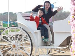 -武汉紫薇都市田园