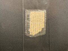 -四川大学博物馆