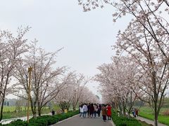-长田漾湿地公园