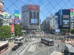 -涩谷全向十字路口