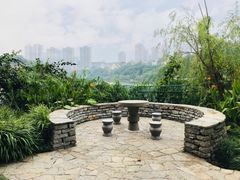 -重庆彩云湖湿地公园