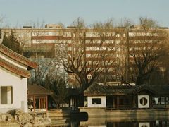 -团结湖公园