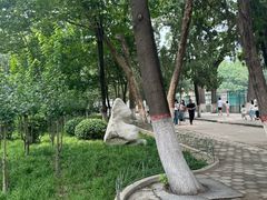 -保定市动物园
