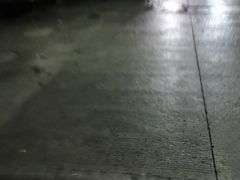 -阿莉餐厅(枣阳路店)