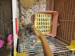 -后海16号·北京私房菜