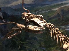 -自贡恐龙博物馆