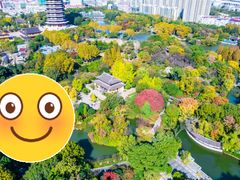 -红梅公园