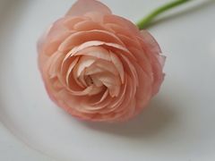 -盒马鲜生(枣园路店)