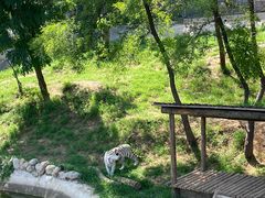 -石家庄市动物园