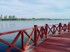 -丁香湖公园